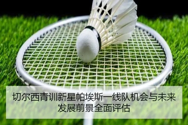 切尔西青训新星帕埃斯一线队机会与未来发展前景全面评估